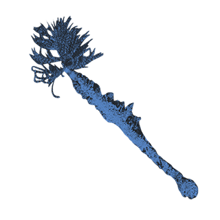 imatge d'uns/es Espirògrafs